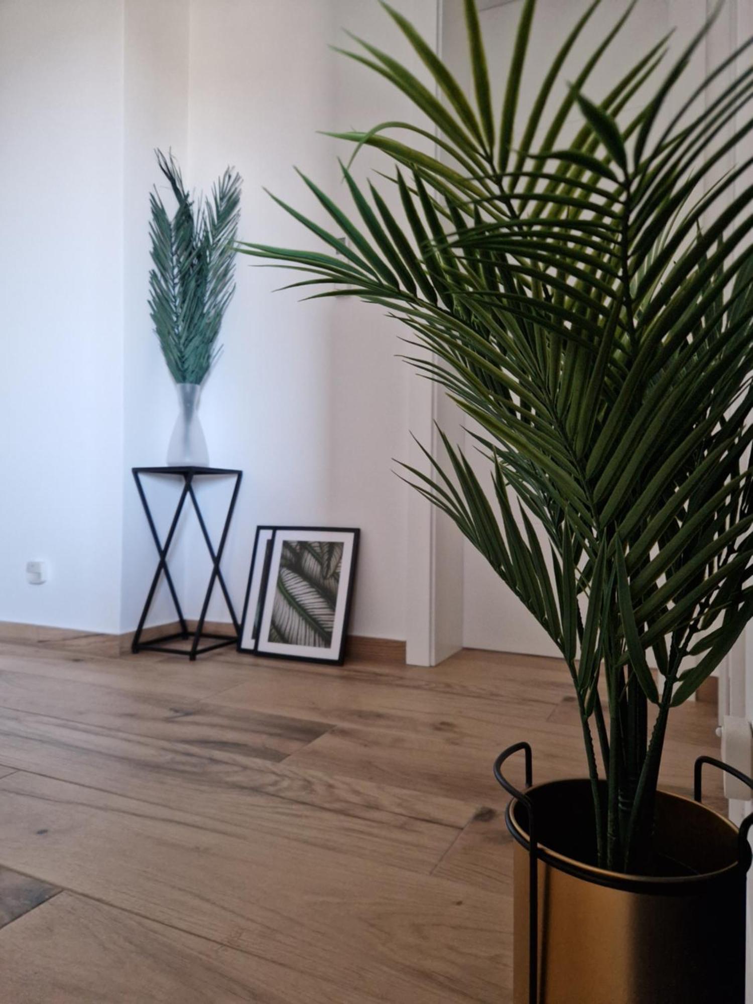 Apartment Luka 普利拉卡 外观 照片